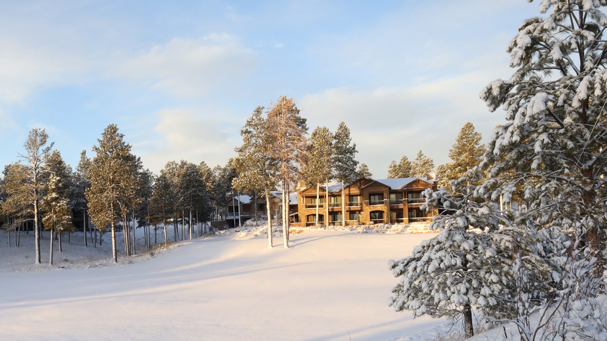 Live Webcam of Flagstaff | Pine Canyon